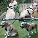 Pet Dog Non pulling  mesh  harness