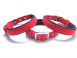 PongoPet Dog Nylon Collar with Soft Neoprene layer Inside.