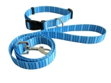 PongoPet Dog Collar Leash Sets