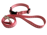 PongoPet Dog Collar Leash Sets
